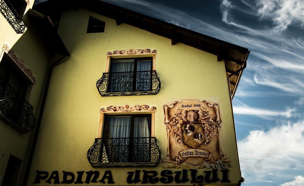 Complex Padina Ursului Fundata Dış mekan fotoğraf
